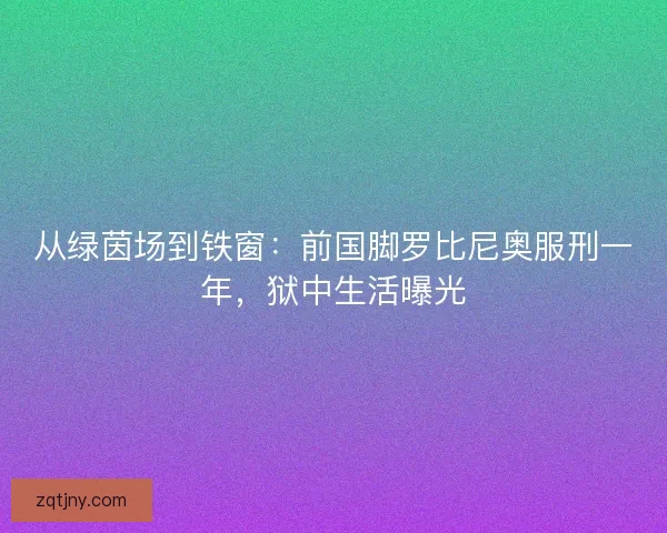 从绿茵场到铁窗：前国脚罗比尼奥服刑一年，狱中生活曝光